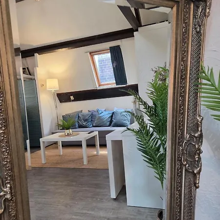 Attic In Historic Canal House In Center *