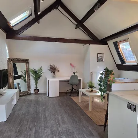 Attic In Historic Canal House In Center *